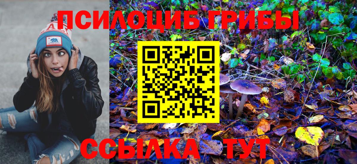 Можайск  Галлюциногенные грибы Psilocybe  где продают наркотики  Вход с VPN 